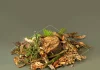 Fergus McCreadie: Forest Floor
