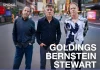 Goldings, Bernstein, Stewart: Perpetual Pendulum