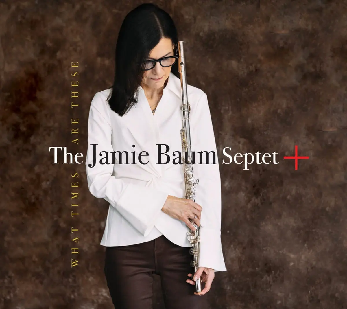 The Jamie Baum Septet+: What Times Are These