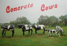 JJ 07/86: NYJO – Concrete Cows
